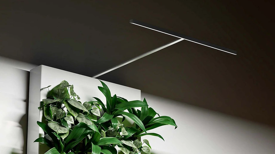 Halo 2.0 lighting positioned above a Biome living wall