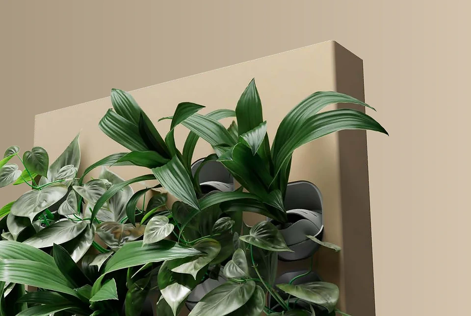 Close view of a Biome living wall with real green plants