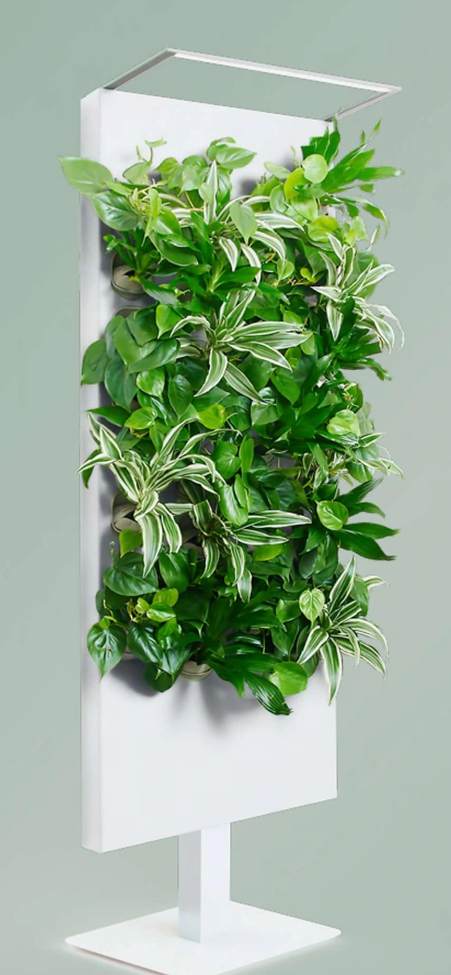 Oasis freestanding smart hydroponic botanical divider