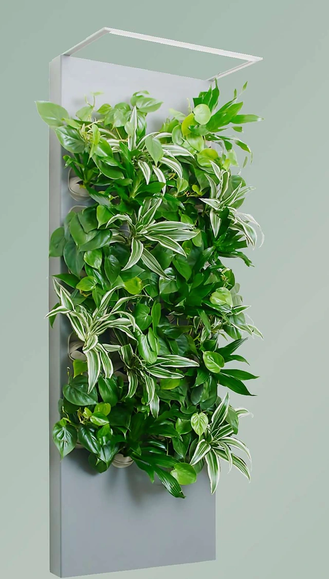 Taiga smart hydroponic living art panel