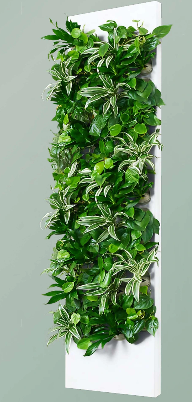 Taiga MAX tall smart hydroponic living wall panel